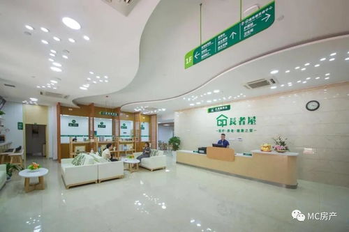 碧桂园十里银滩维港湾 最新房价、投资潜力与户型解析